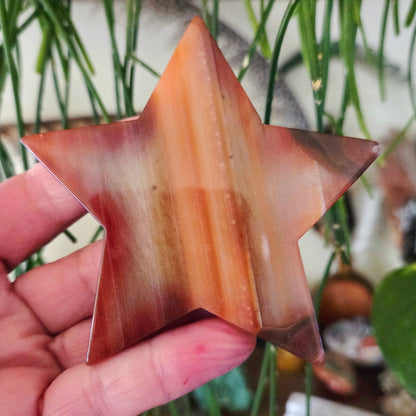 Red Agate Star Slab