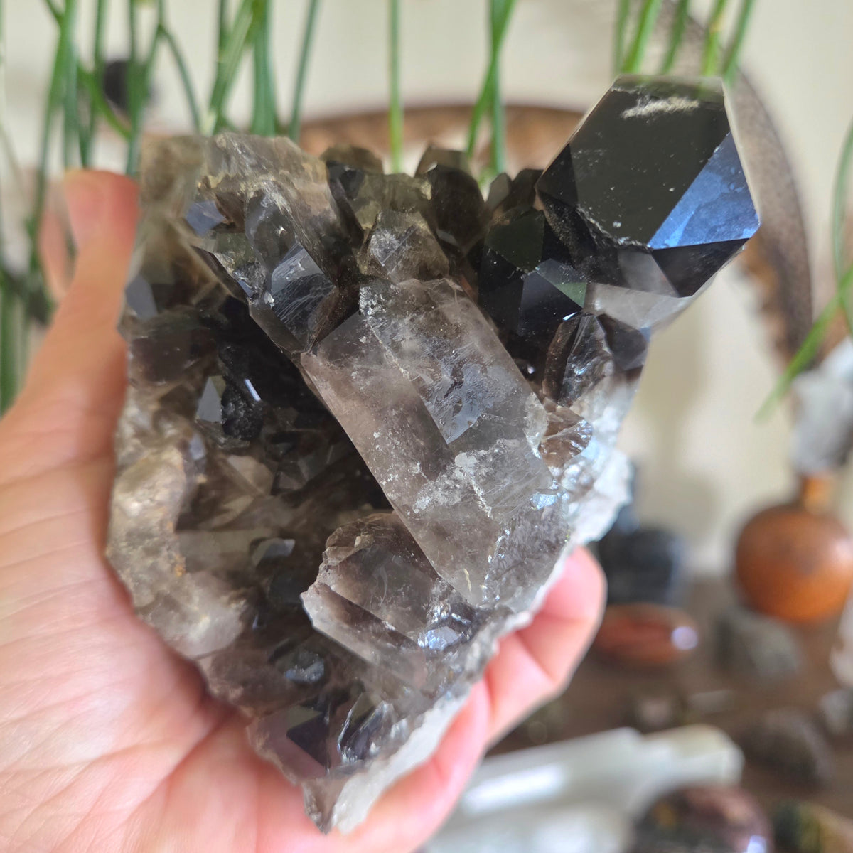 Smoky Quartz Cluster