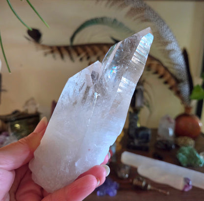 Lemurian Point