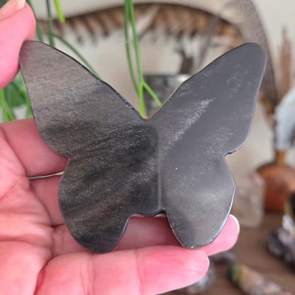 Black Obsidian Skull Moth