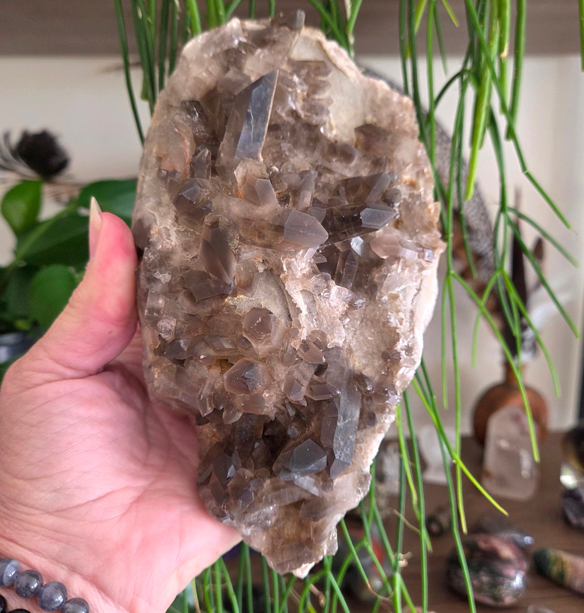 Smoky Quartz Cluster 1.17Kg