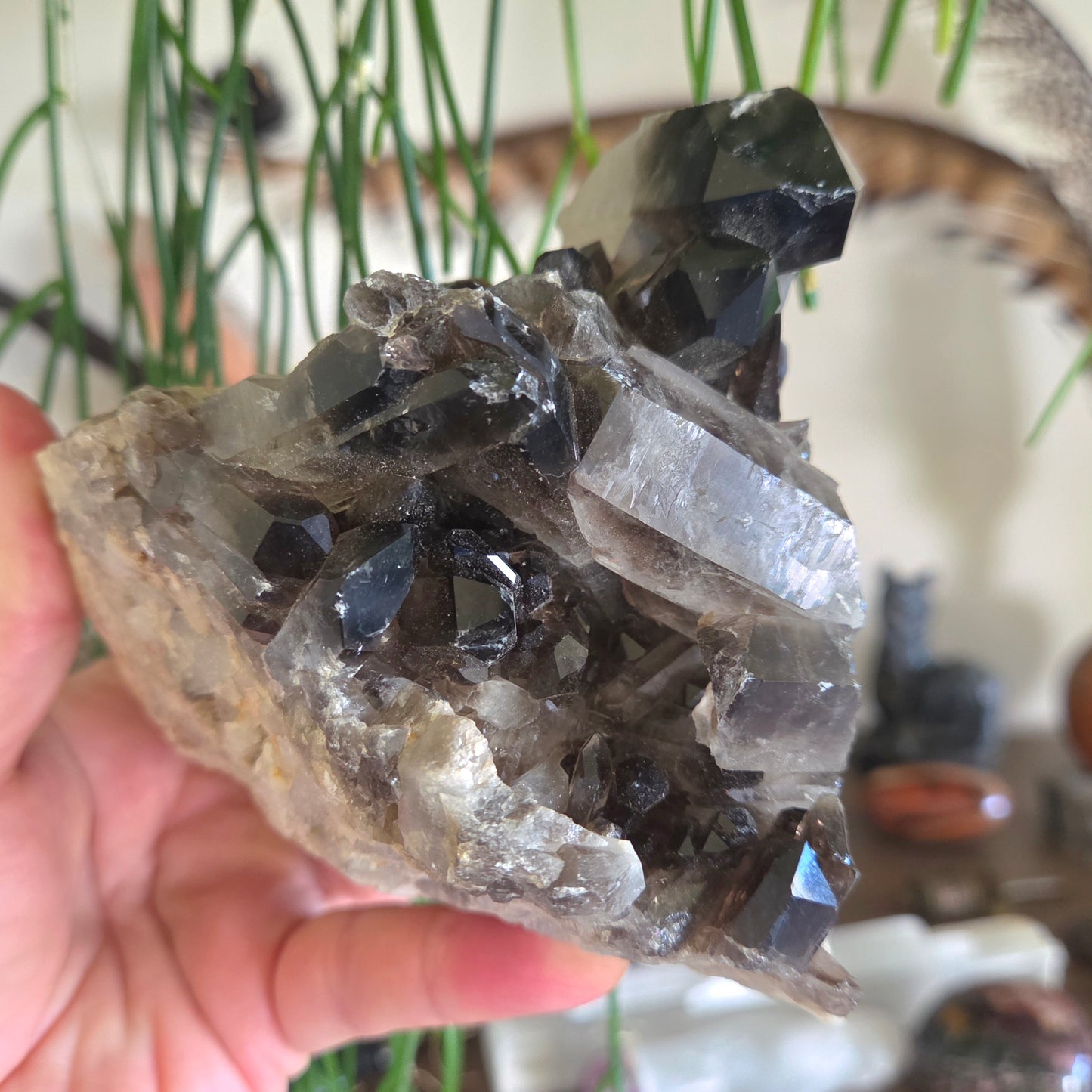 Smoky Quartz Cluster