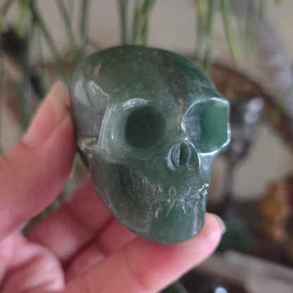 Crystal Skulls - Medium