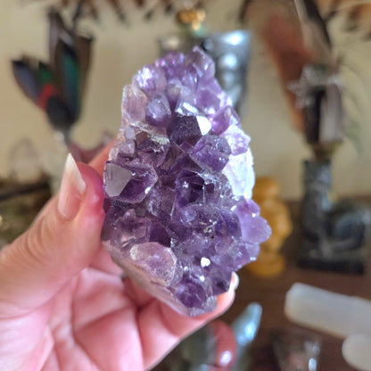 Amethyst Cluster