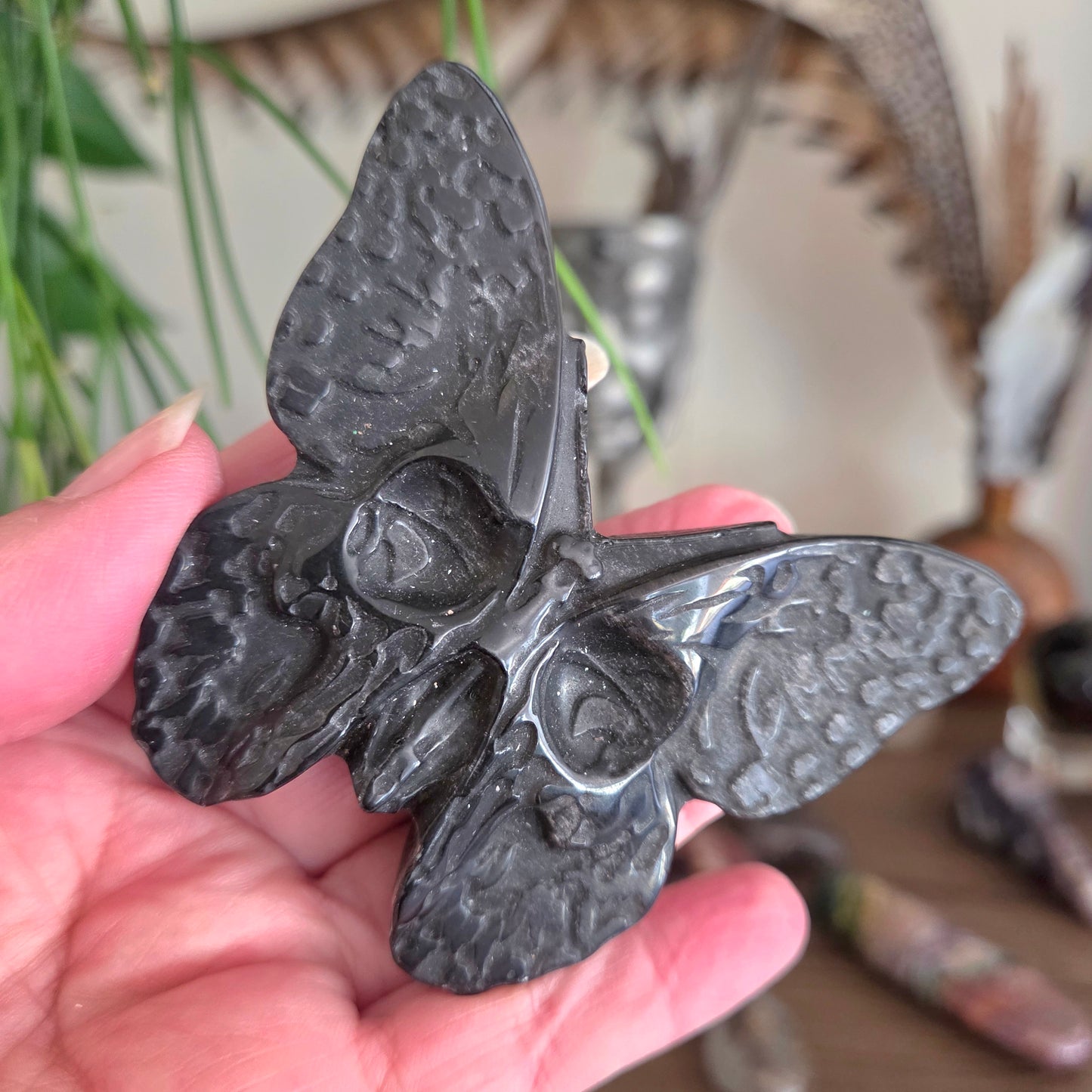 Black Obsidian Skull Moth