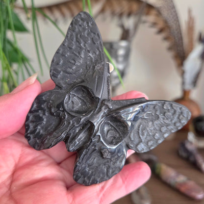 Black Obsidian Skull Moth