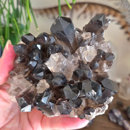 Smoky Quartz Cluster
