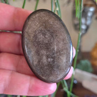 Silver Sheen Obsidian Palm Stone