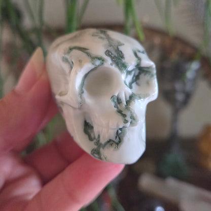 Crystal Skulls - Medium