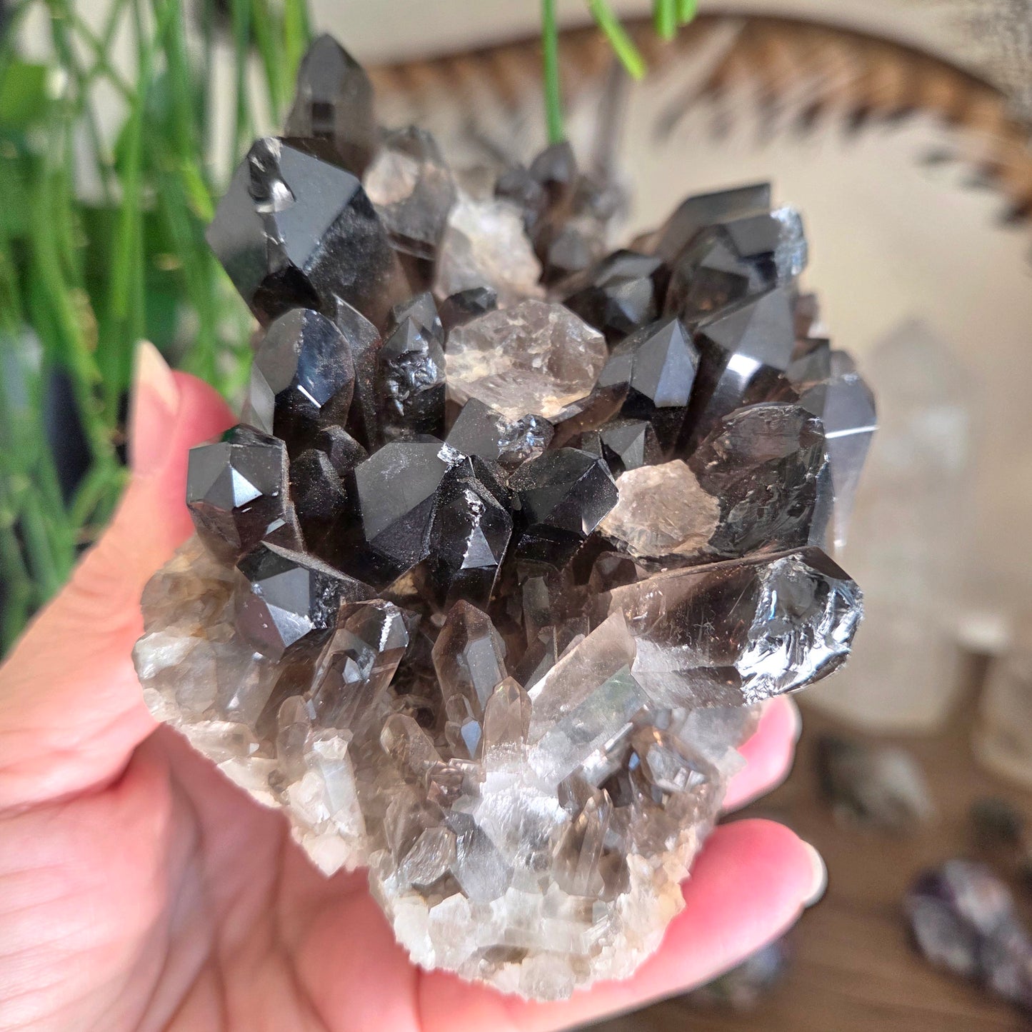Smoky Quartz Cluster