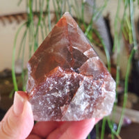 Cut Base Polished Points