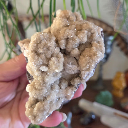 Zeolite Cluster