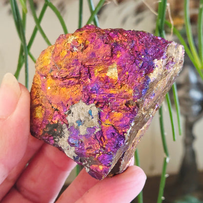 Peacock Ore Freeform - Large