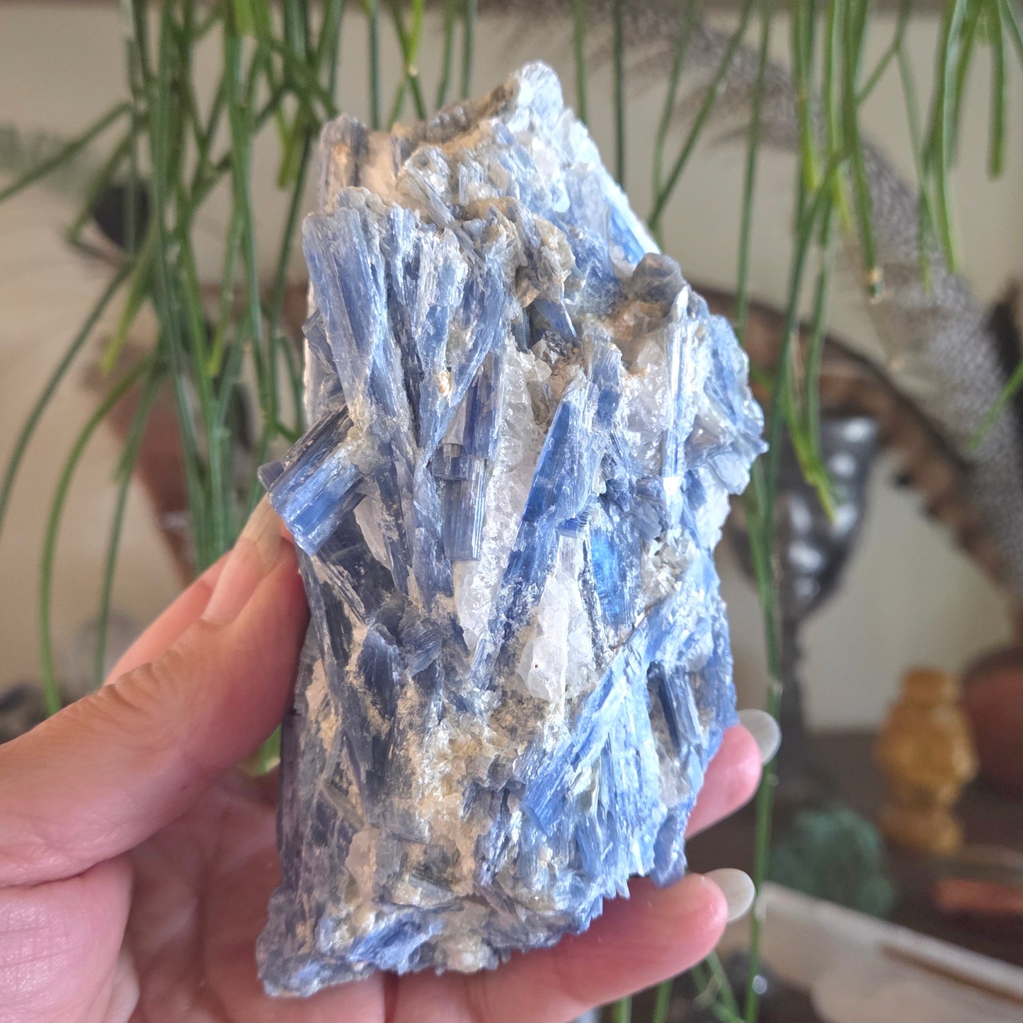 Kyanite In Quartz 697gm