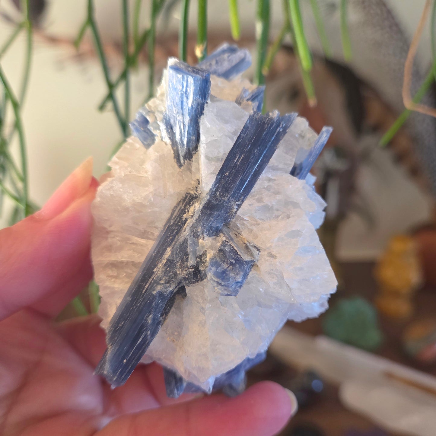 Kyanite in Quartz Freeform