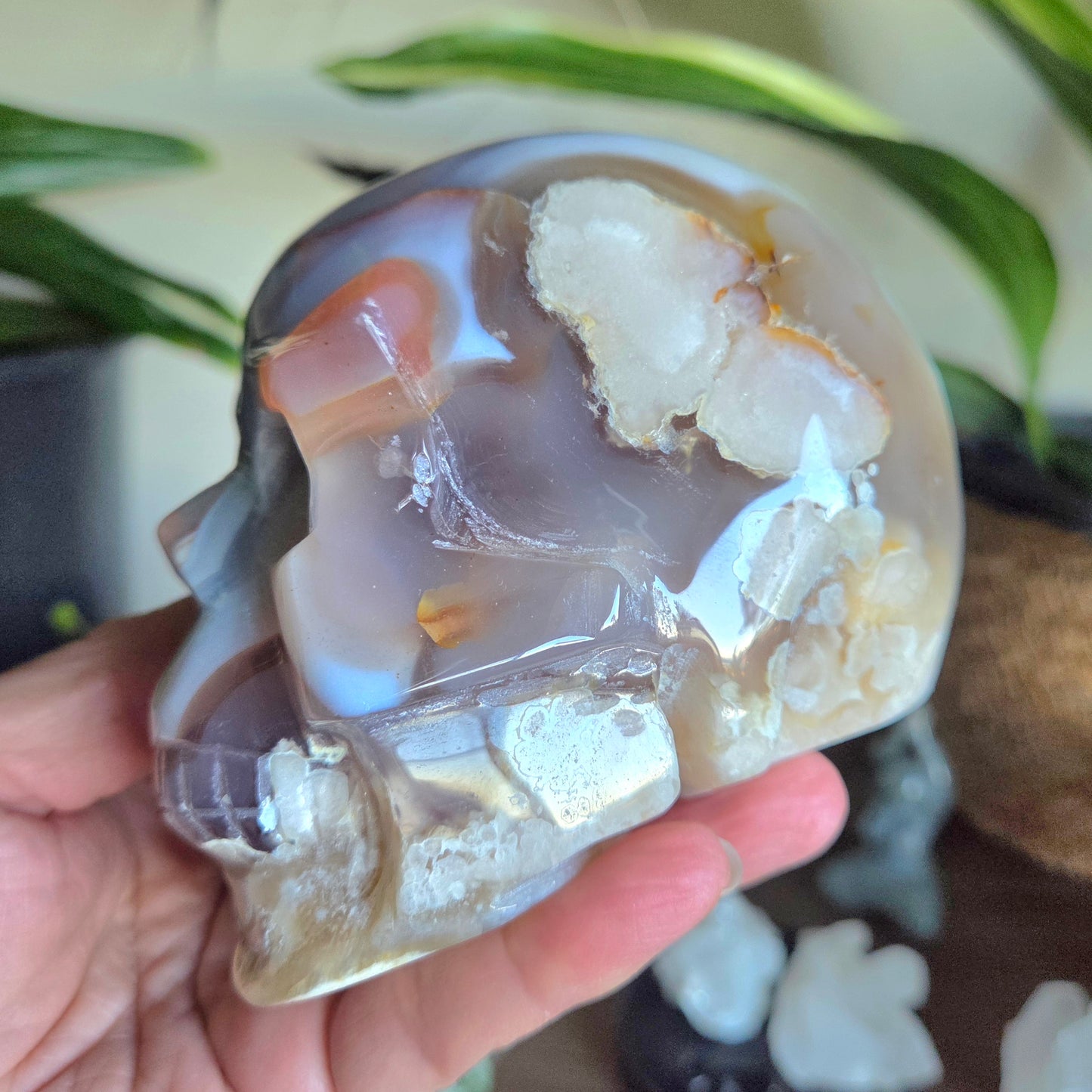 Blue Lace & Flower Agate Skull 1.01Kg