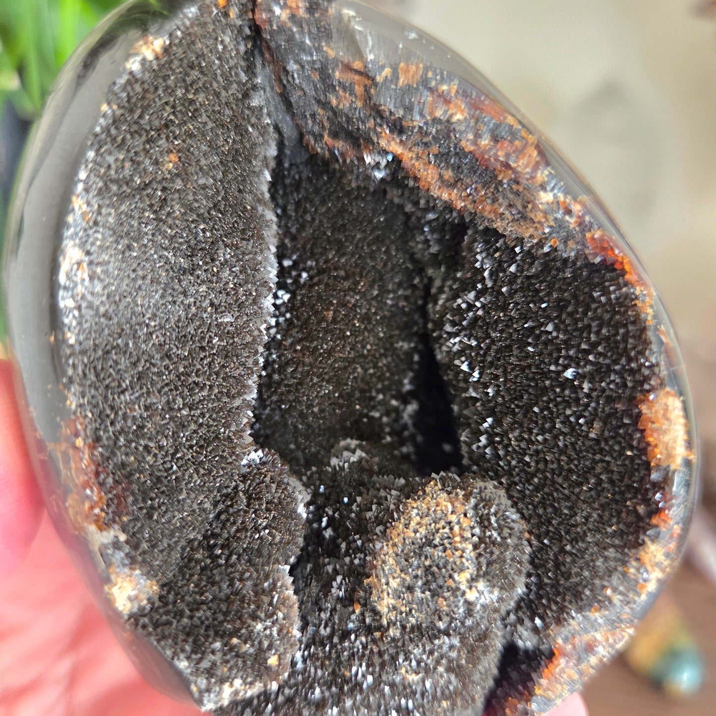 Septarian Egg