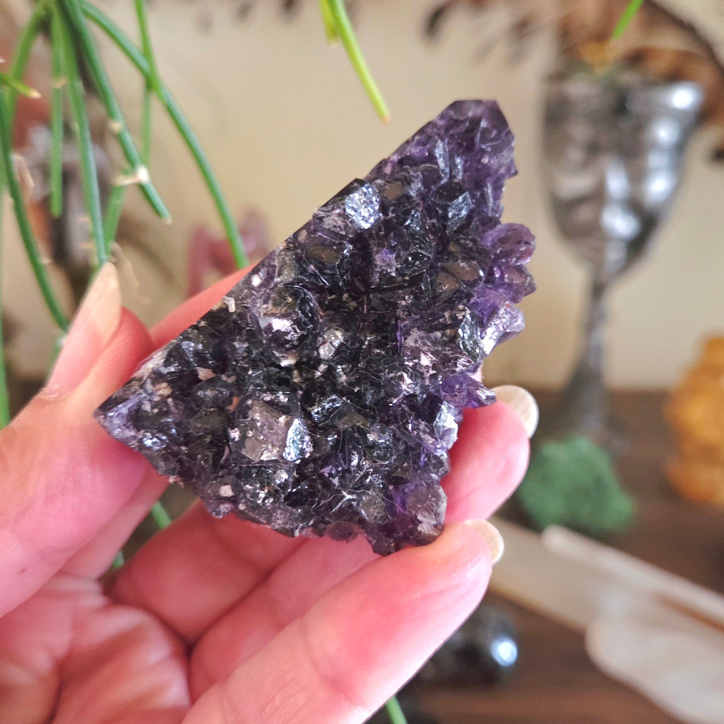 Amethyst Cluster