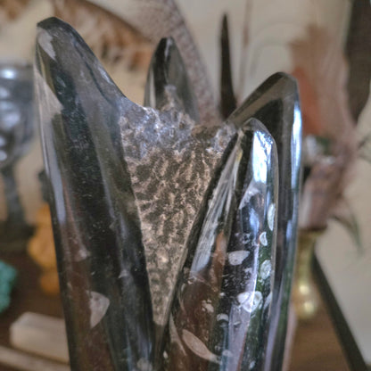 Orthoceras Fossil Tower 2Kg