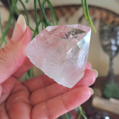 Lemurian Point Freeform - High Grade