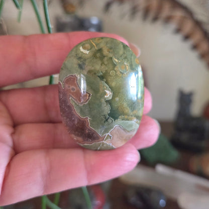 Rhyolite Palm Stones