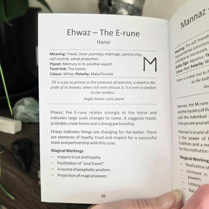 Rune Divination Guidebook