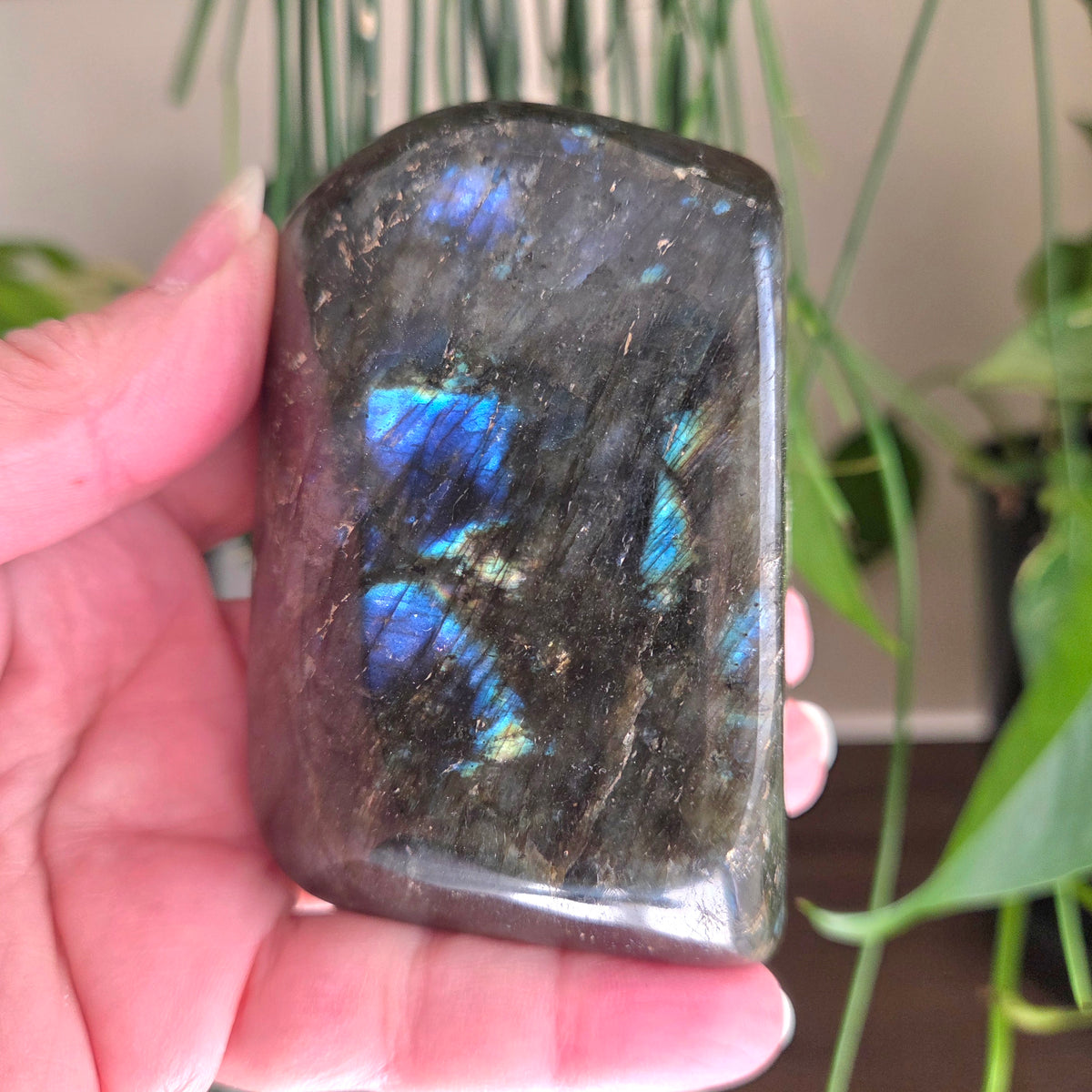 Labradorite Freeform