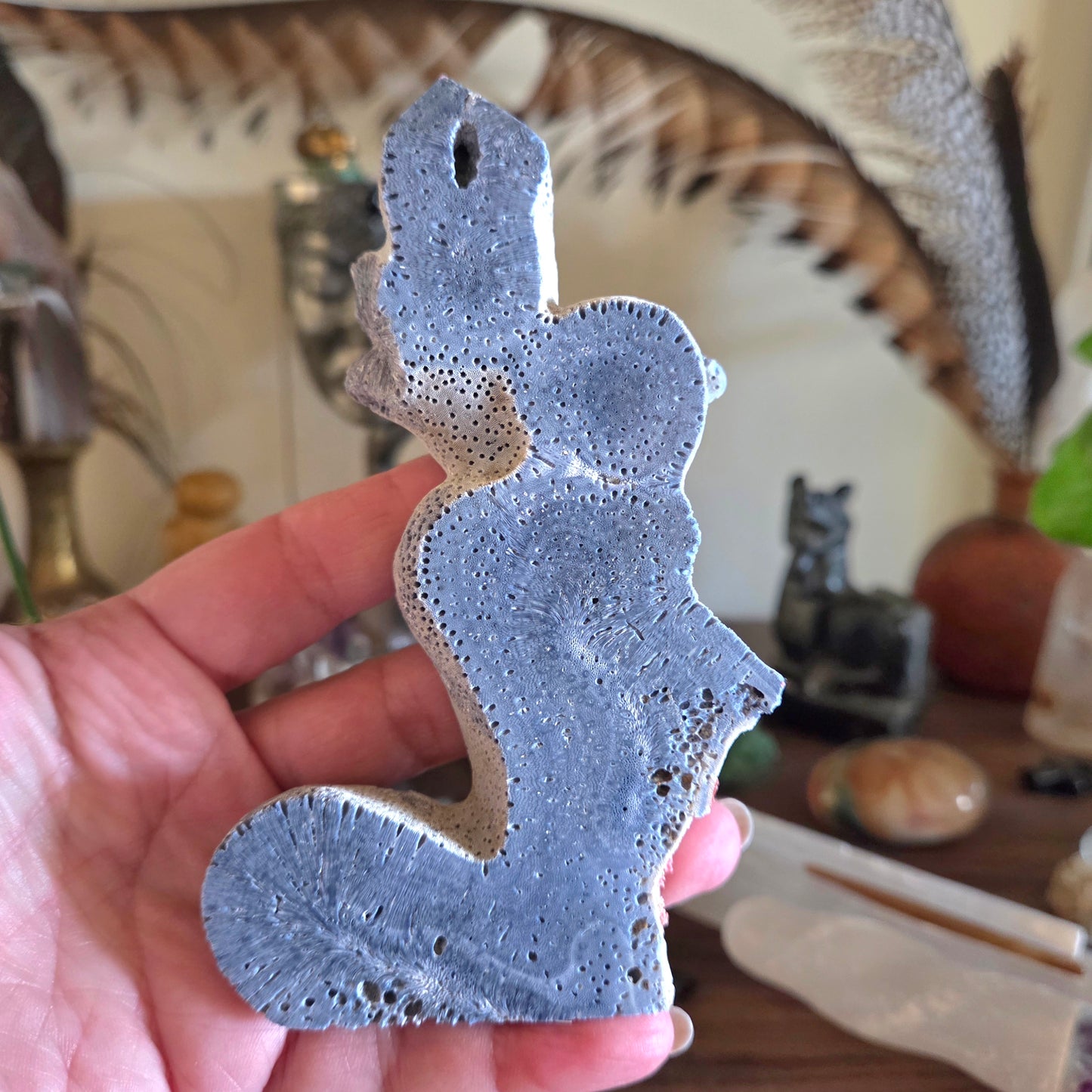 Blue Fossil Coral - Large