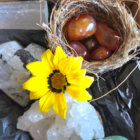 New Beginnings Bundle