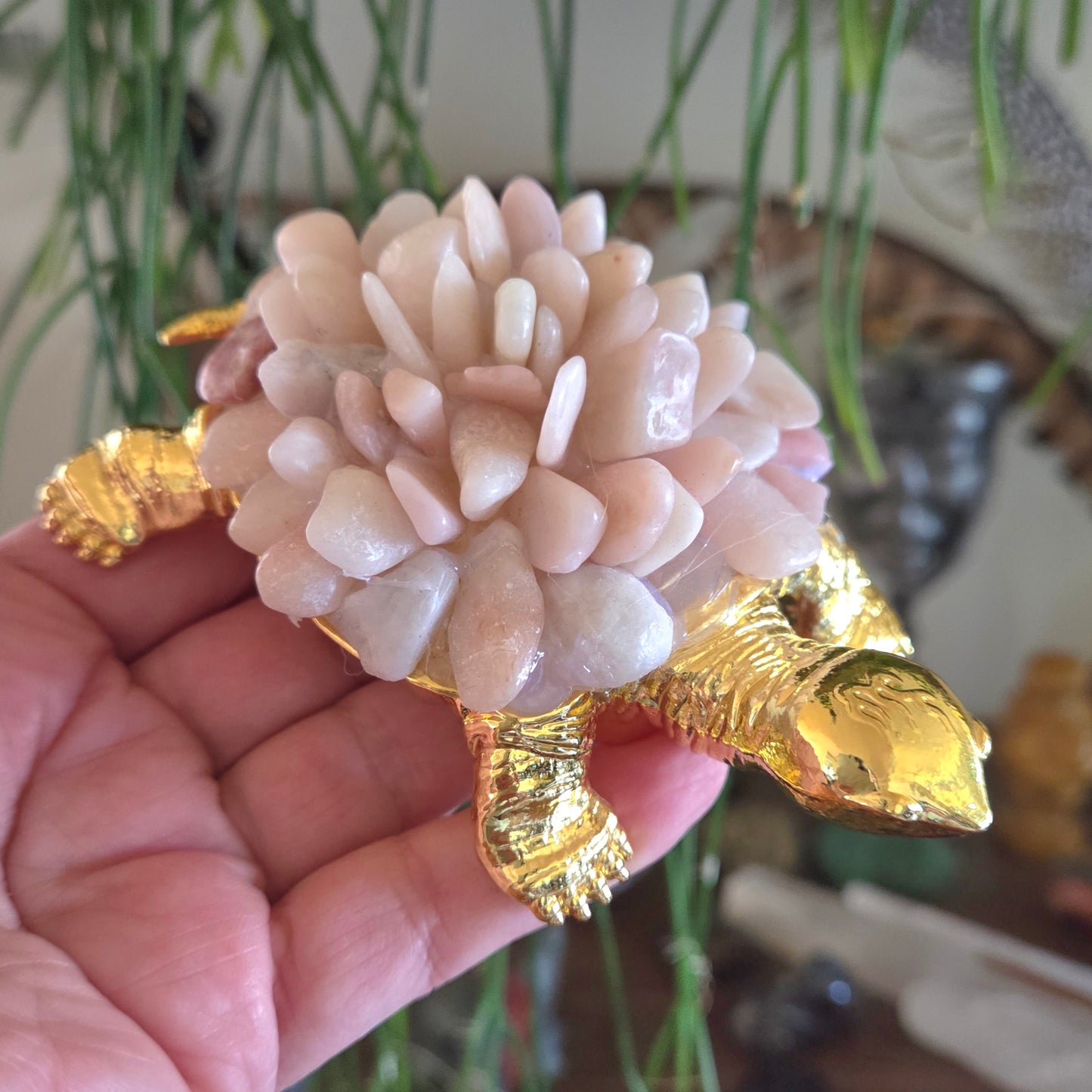 Pink Opal Turtle