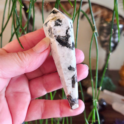 Rainbow Moonstone Sceptre