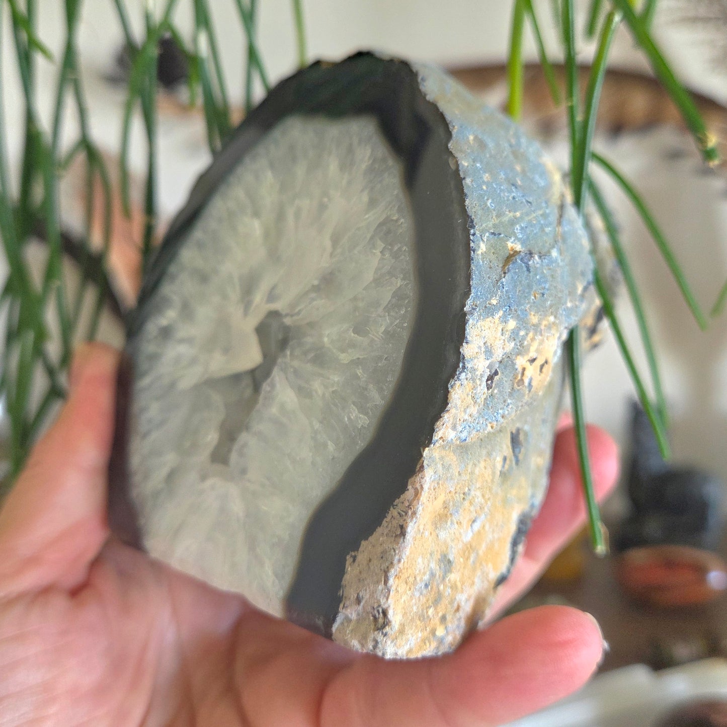 Black Agate Geode 1.12Kg