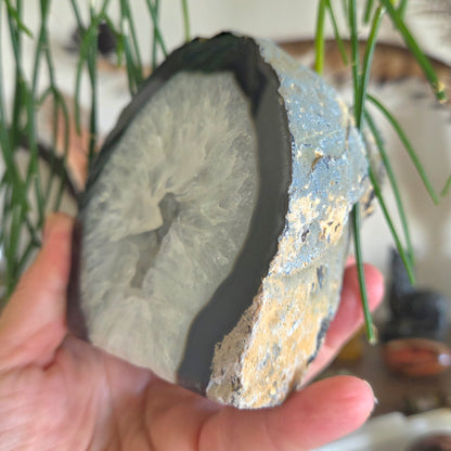 Black Agate Geode 1.12Kg