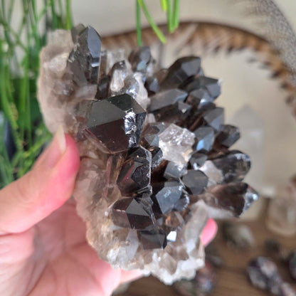 Smoky Quartz Cluster