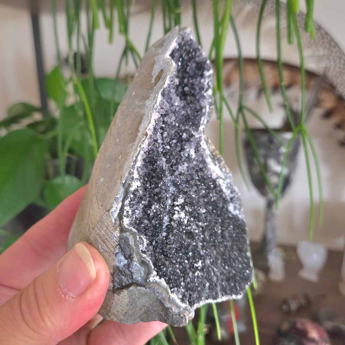 Black Amethyst Cluster Geode