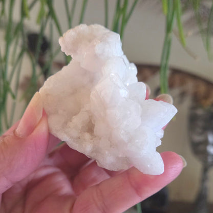 Moroccan Quartz Cluster