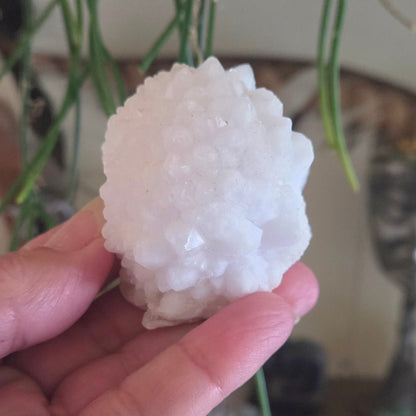 Moroccan Quartz Cluster