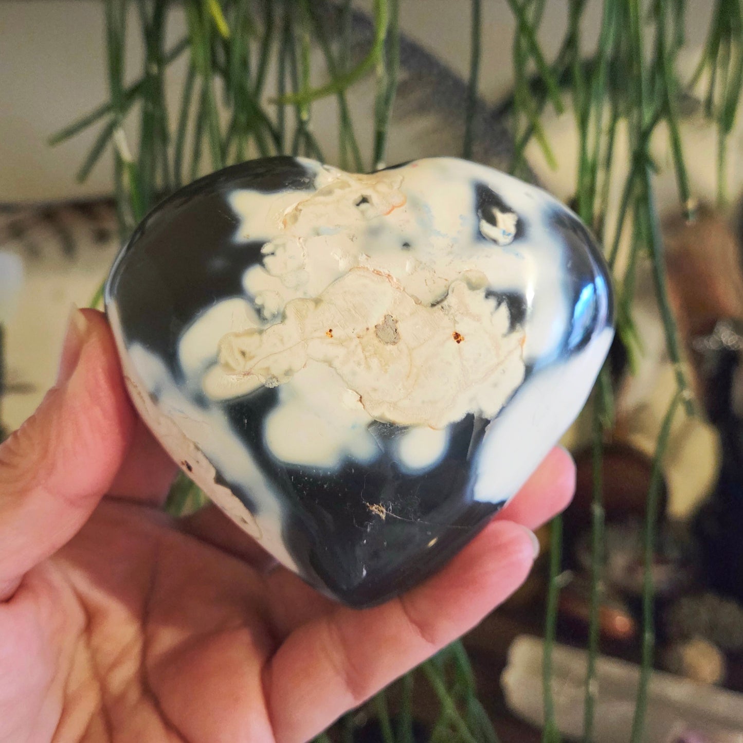 Orca Agate Heart