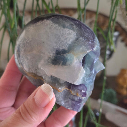 Fluorite Skull 610gm