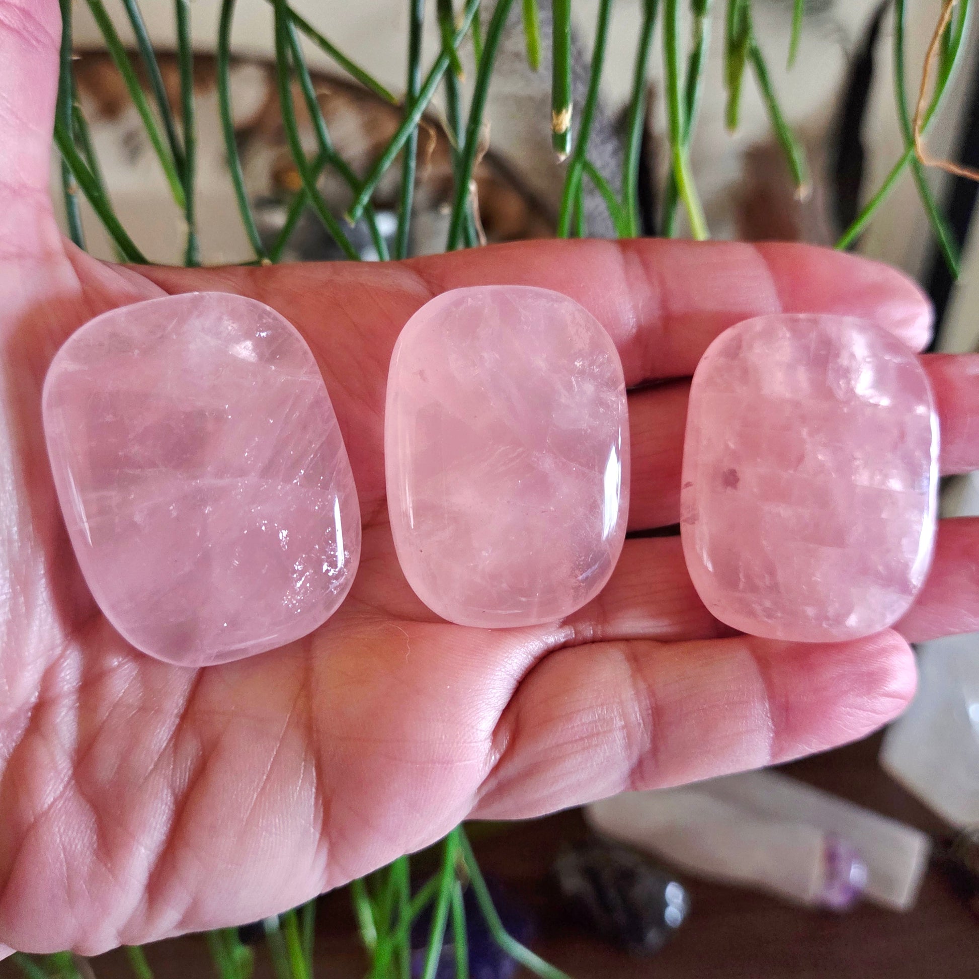 Three pink rose quartz stones held in a hand with a blurred natural background
