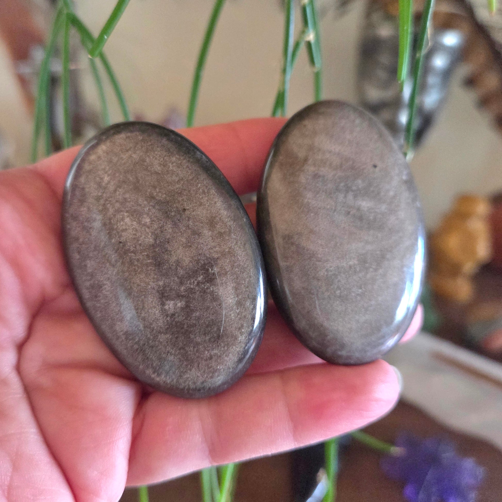 Two oval-shaped stones held in a hand with a blurred background