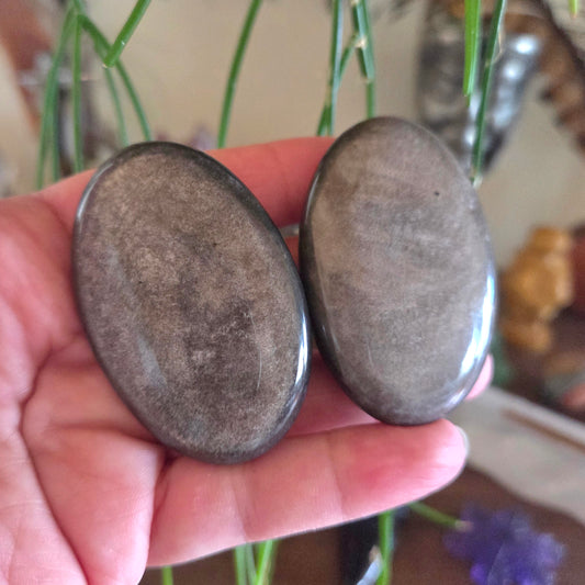 Two oval-shaped stones held in a hand with a blurred background