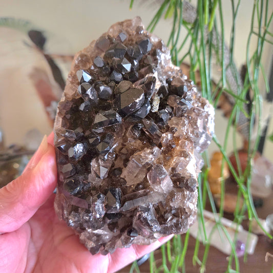 Hand holding a large crystal cluster with a blurred indoor background