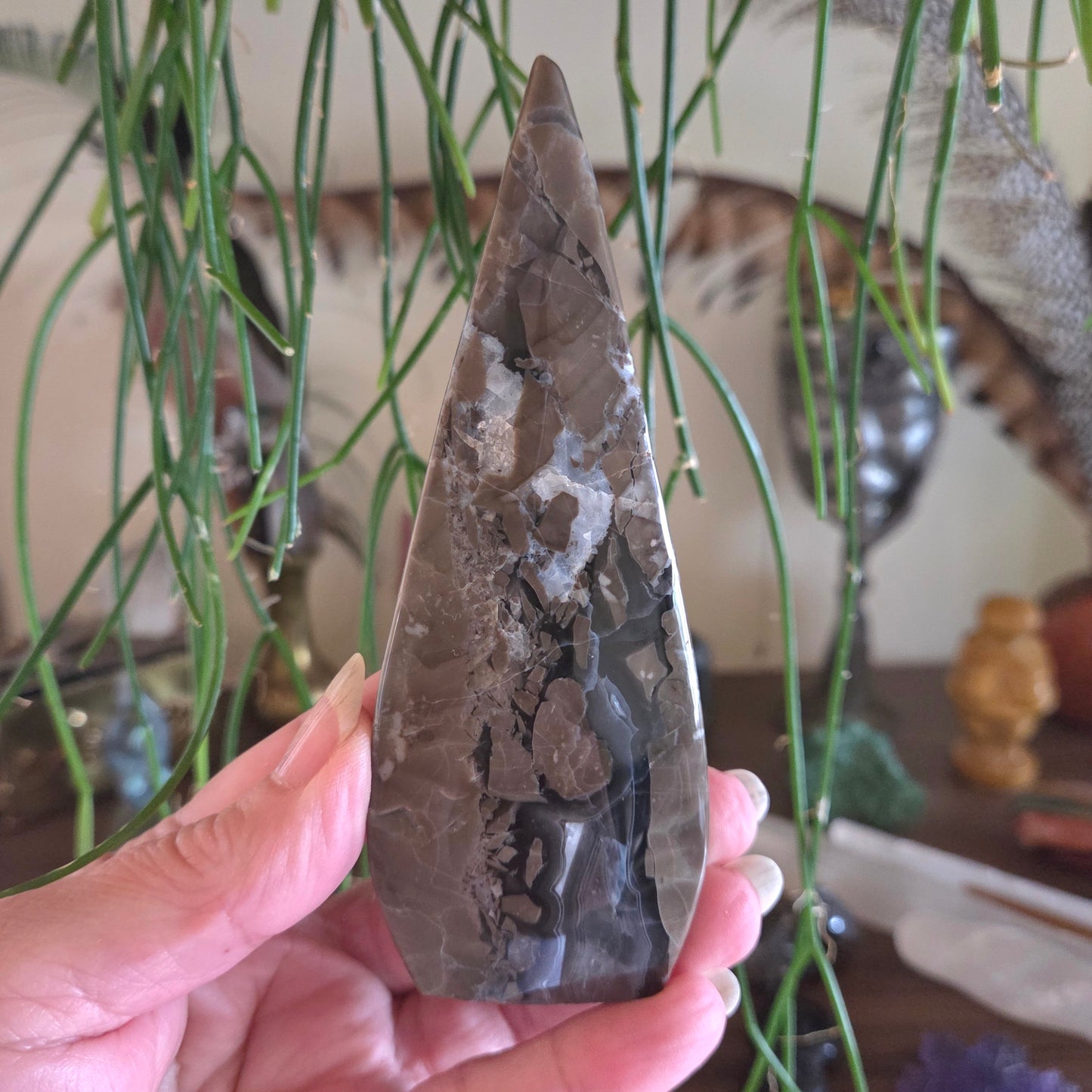 Hand holding a polished stone with a natural pattern, surrounded by green plants.
