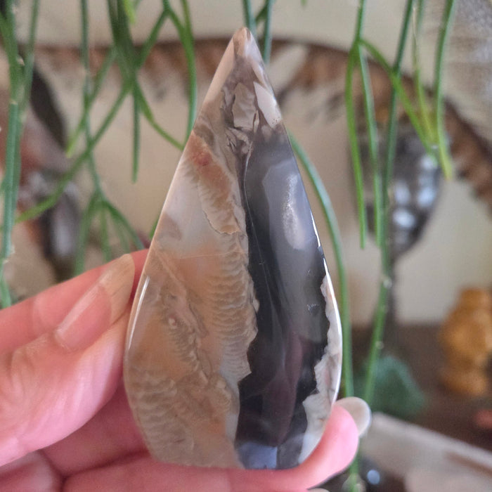 Teardrop-shaped agate stone held in a hand with a blurred natural background