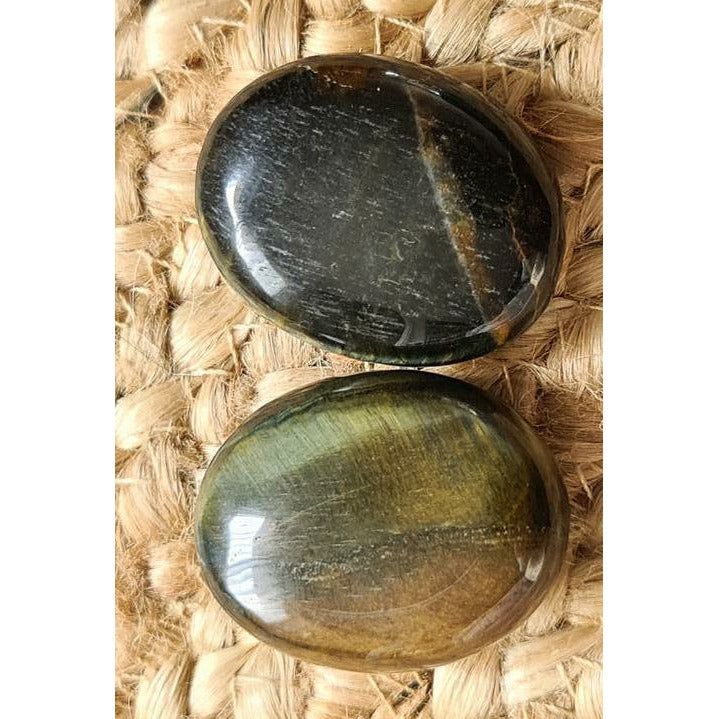 BLUE TIGER EYE PALM