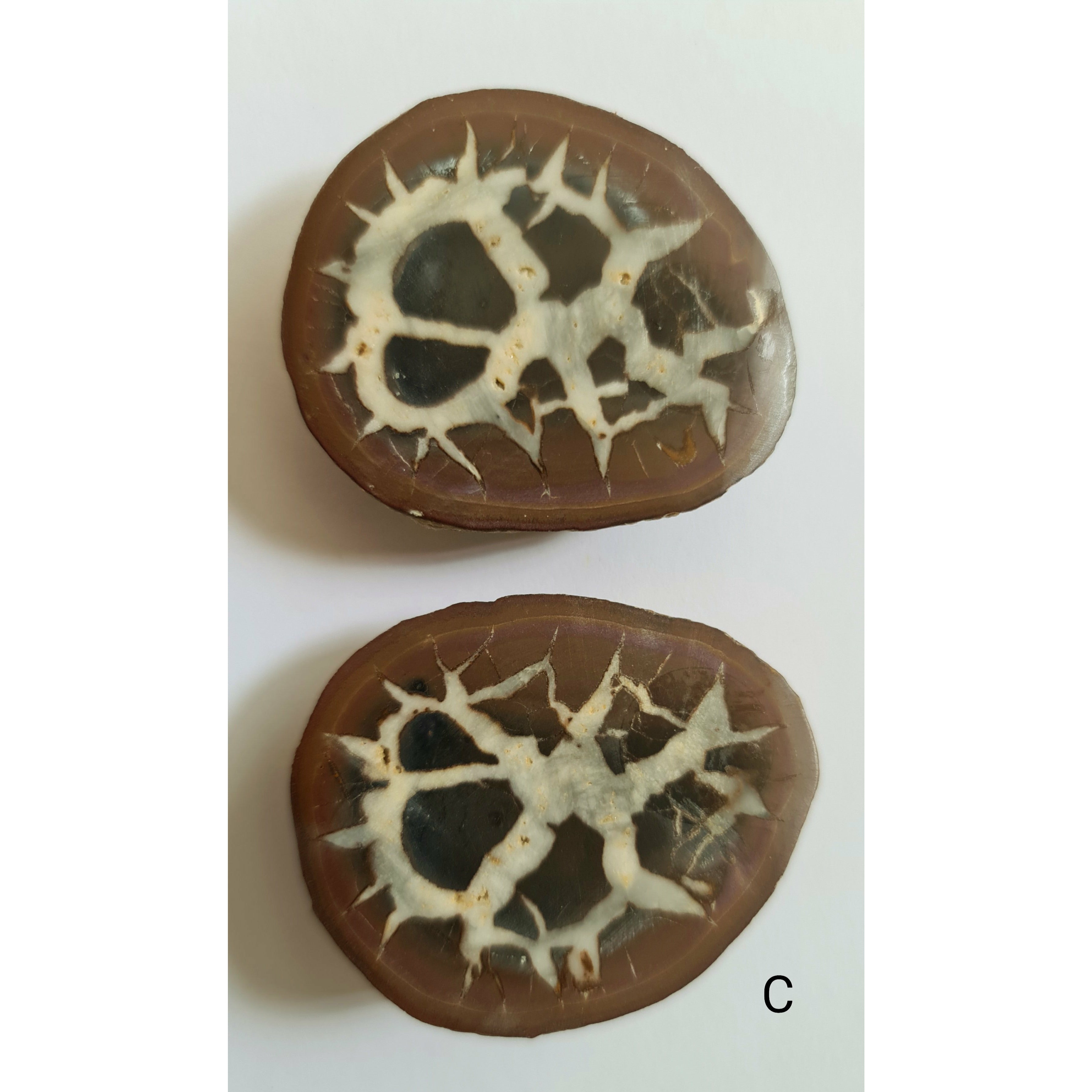 SEPTARIAN NODULE PAIR