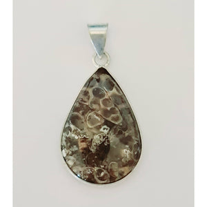 TURRITELLA AGATE PENDANT