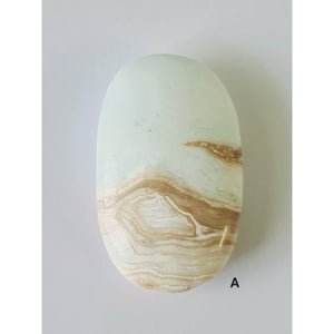 CARIBBEAN CALCITE PALM