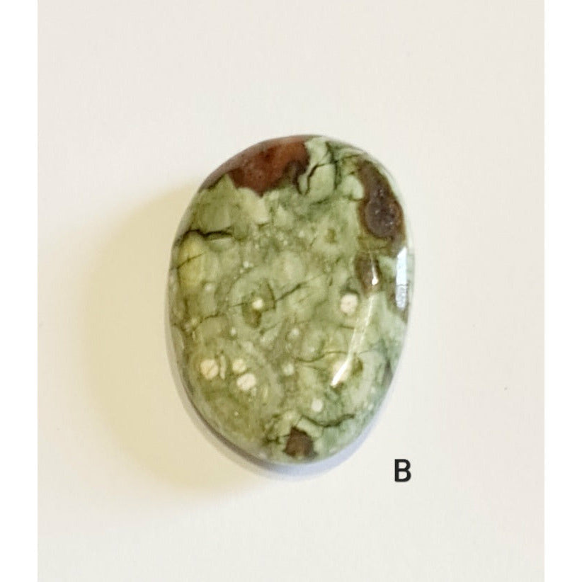 RHYOLITE MINI PALM